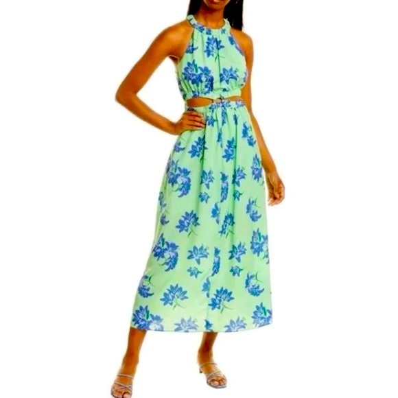 Likely Dresses & Skirts - NWT LIKELY Karrica Dress